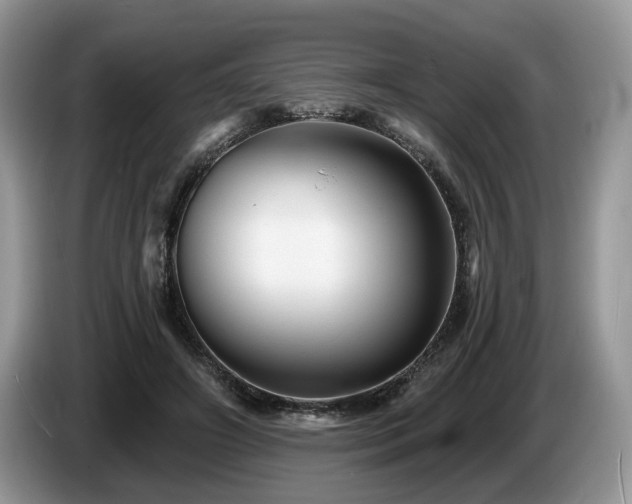 X0000087610498200704271343