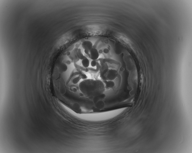 X0000087610499200704271343