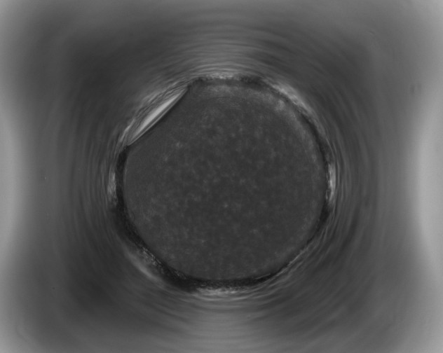X0000087610500200704271343