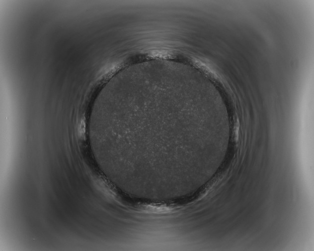 X0000087610502200704271343