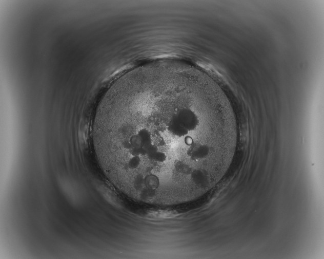 X0000087610503200704271343