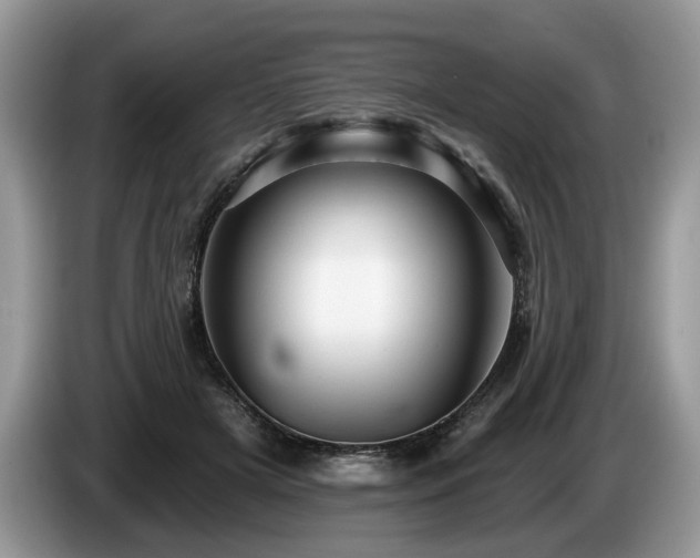 X0000087610505200704271343