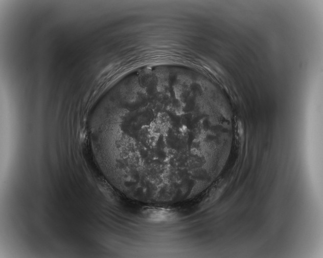 X0000087610507200704271343