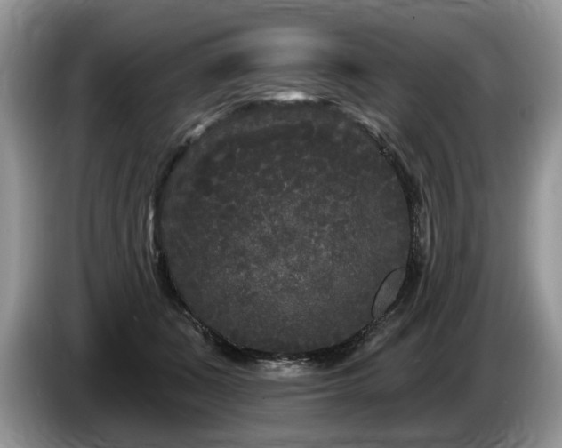 X0000087610511200704271343
