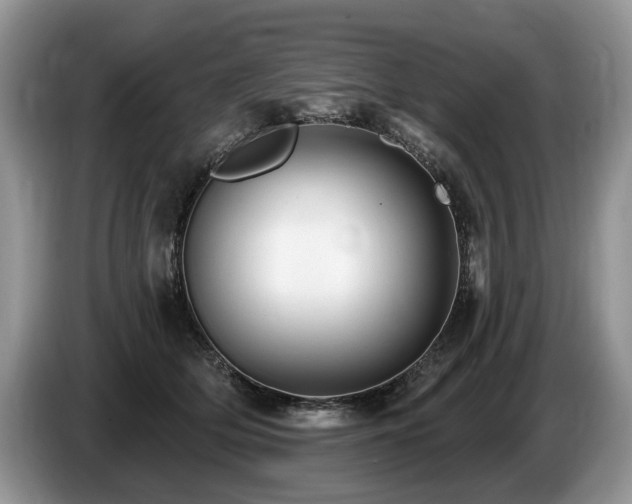 X0000087610514200704271343