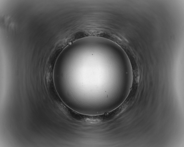 X0000087610515200704271343