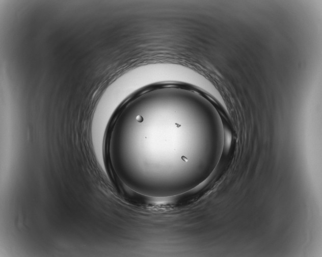 X0000087610516200704271343