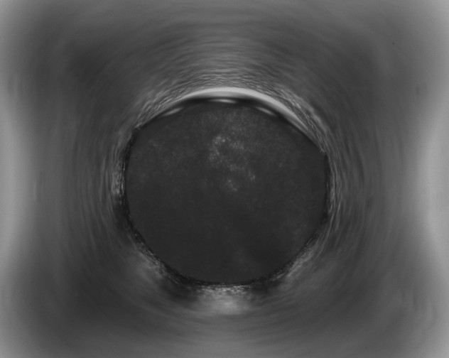 X0000087610517200704271343