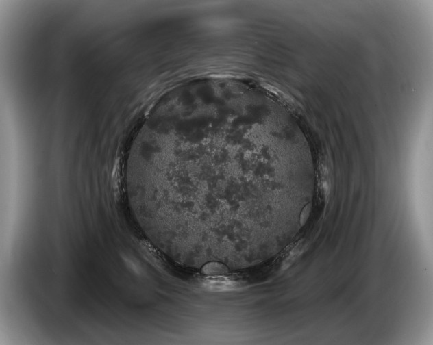 X0000087610519200704271343