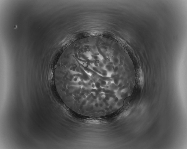 X0000087610523200704271343