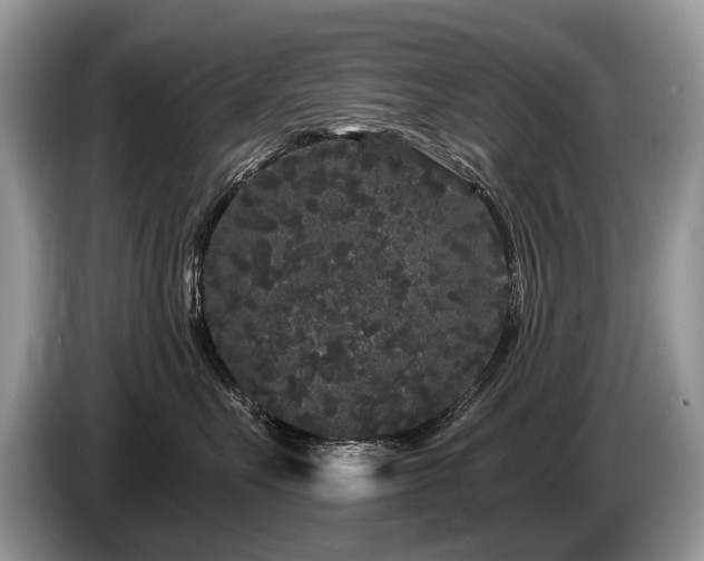 X0000087610527200704271343