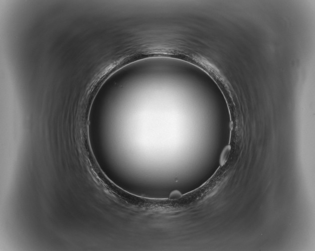 X0000087610529200704271342