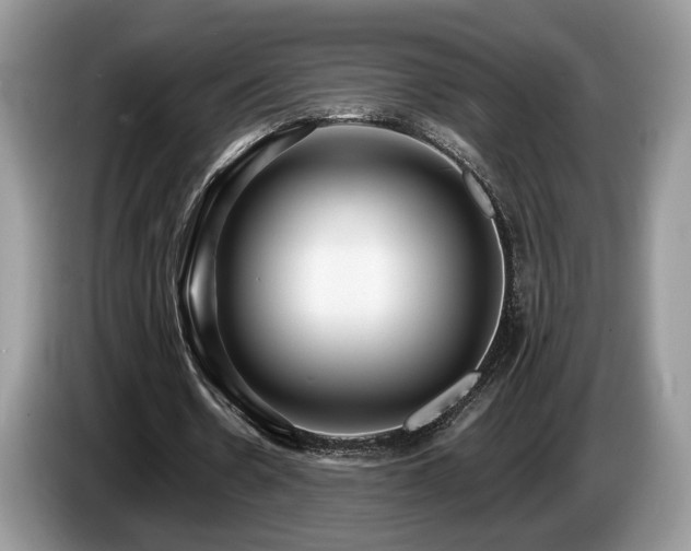 X0000087610530200704271342