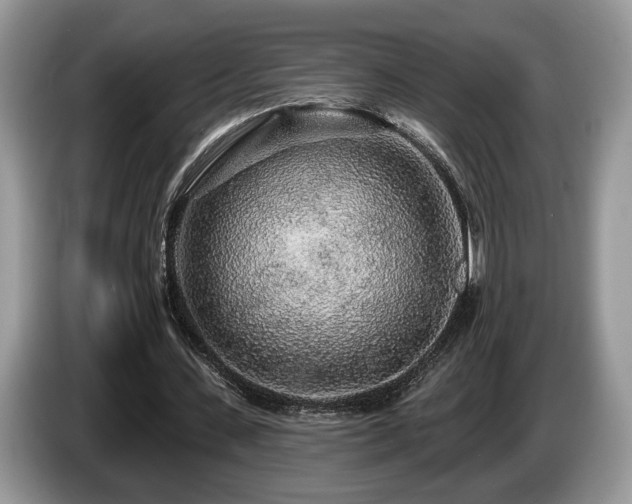 X0000087610531200704271342