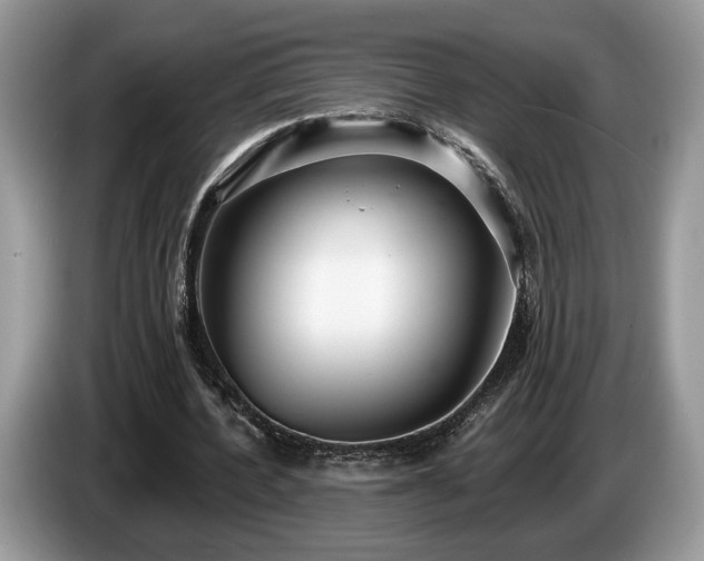 X0000087610532200704271342