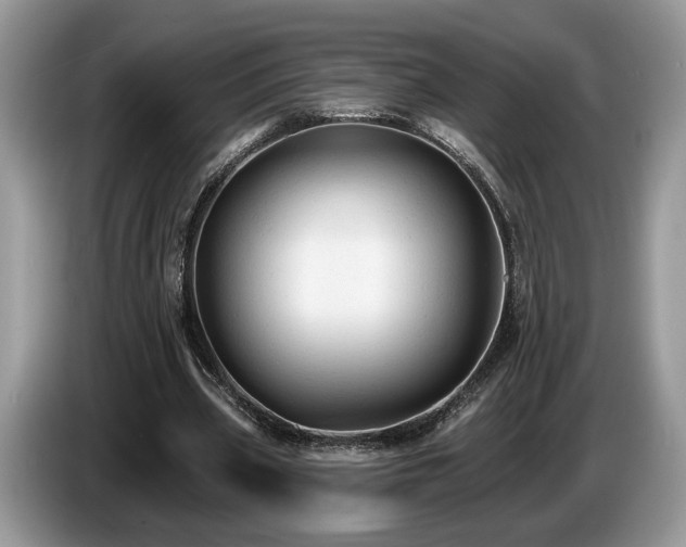 X0000087610533200704271342
