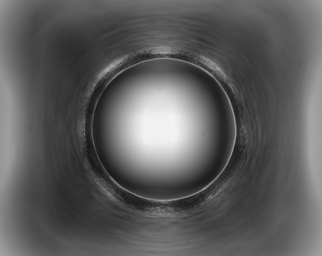 X0000087610535200704271342