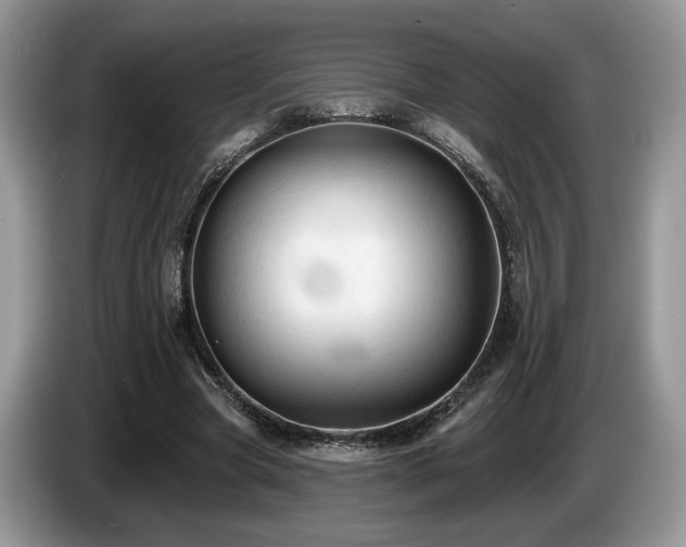 X0000087610537200704271342