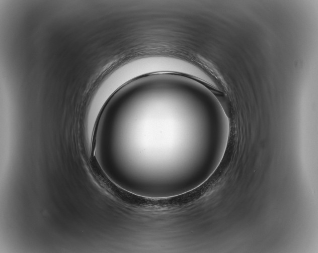 X0000087610538200704271342