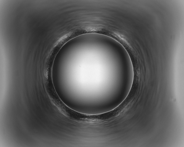 X0000087610539200704271342
