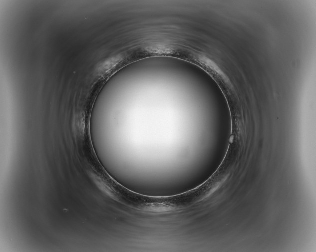 X0000087610541200704271342