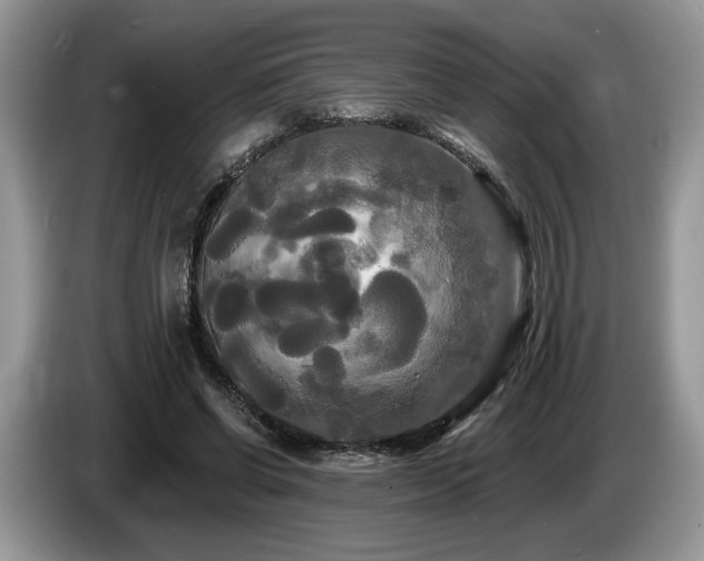 X0000087610542200704271342