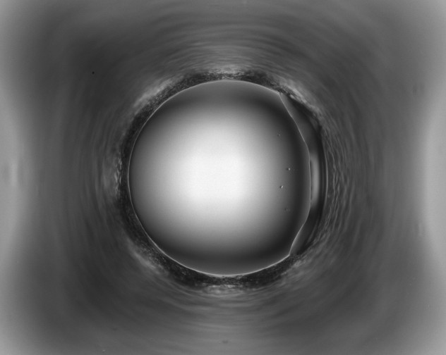 X0000087610544200704271342