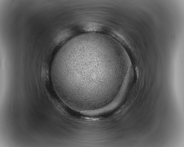 X0000087610547200704271342