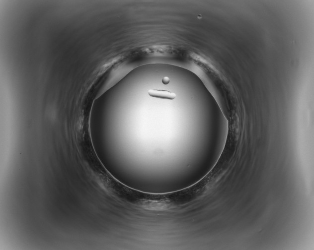 X0000087610548200704271342