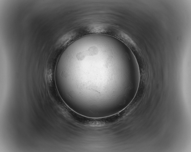 X0000087610549200704271342