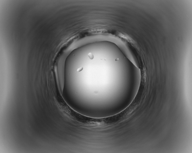 X0000087610552200704271342