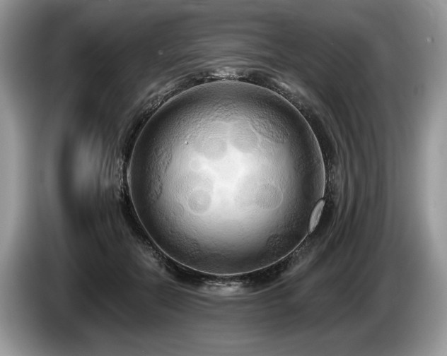 X0000087610554200704271342