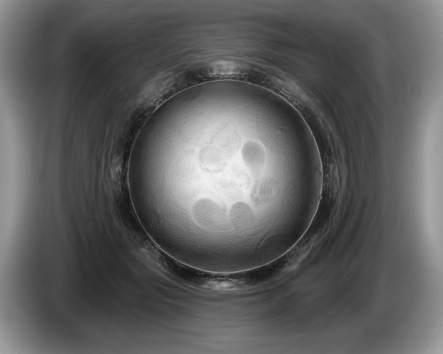 X0000087610557200704271342