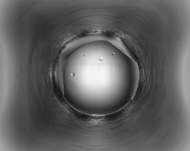 X0000087610560200704271342