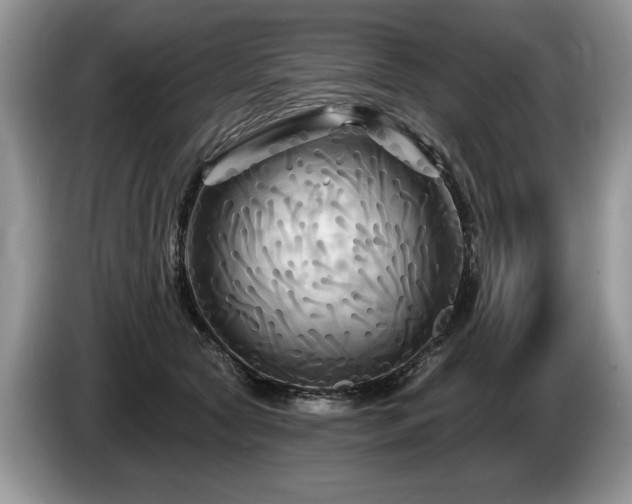 X0000087610561200704271342