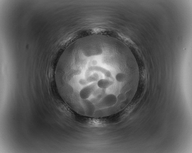X0000087610565200704271343