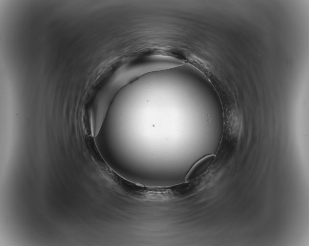 X0000087610571200704271343