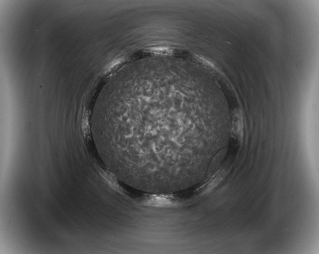X0000087610573200704271343