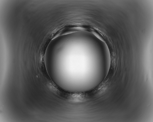 X0000087610574200704271343