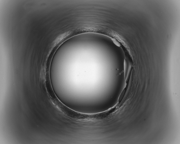 X0000087610578200704271342