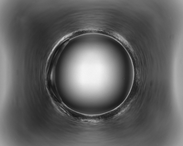 X0000087610580200704271342