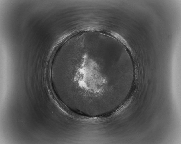 X0000087610581200704271342
