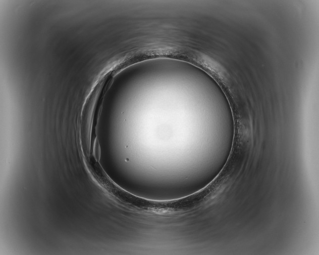 X0000087610582200704271342