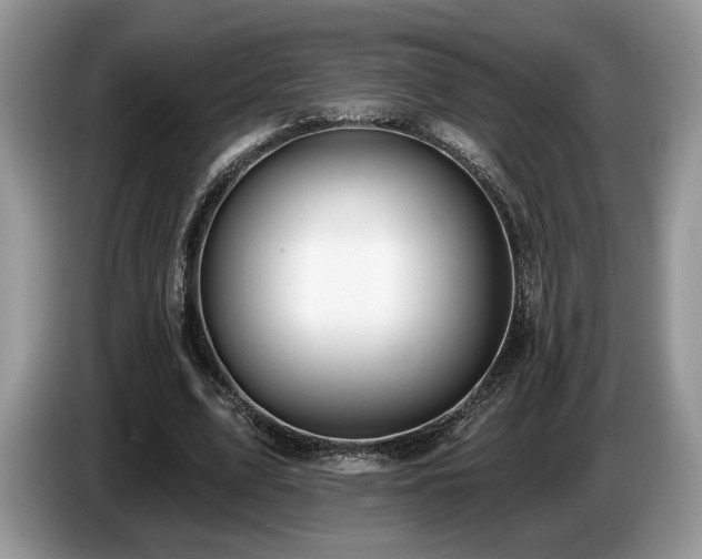 X0000087610583200704271342