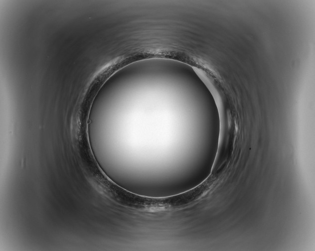 X0000087610587200704271342