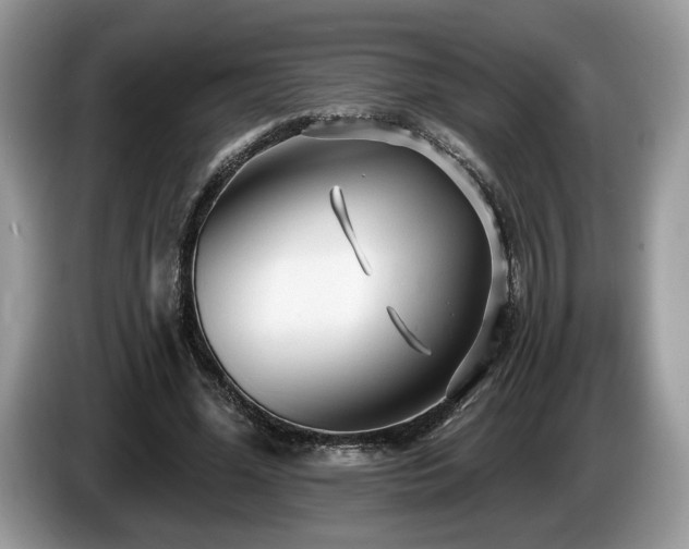 X0000087610588200704271342