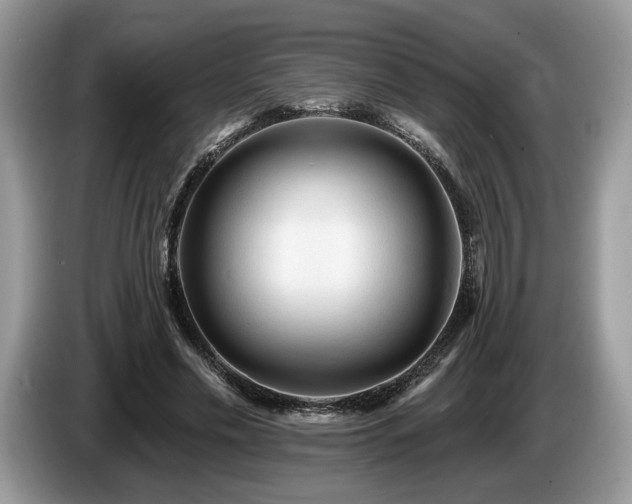 X0000087610589200704271342