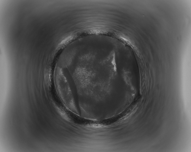 X0000087610590200704271342