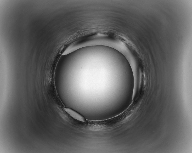 X0000087610593200704271342