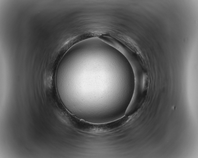 X0000087610596200704271342